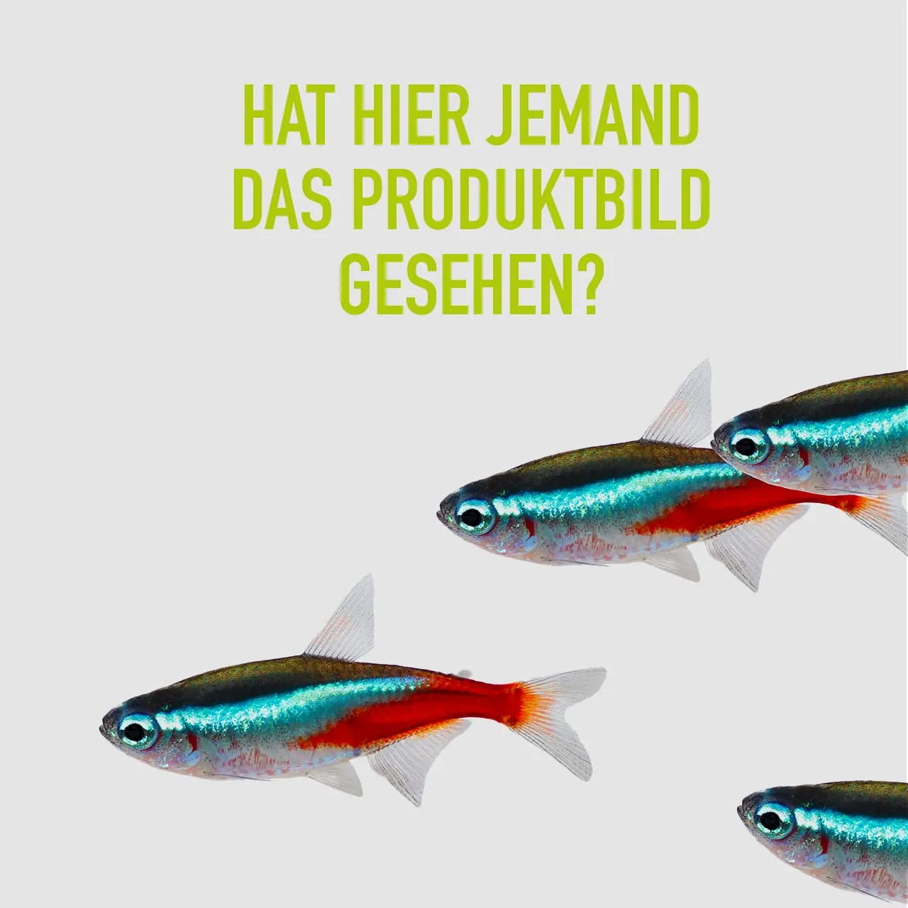 Sydeco Aquaplant medium 22  cm hoch