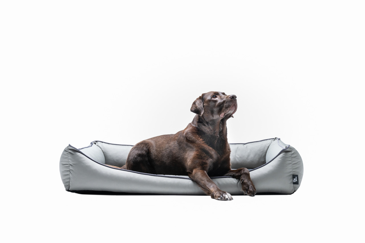 Hundebett Allpets, für mittelgroße-große Hunde, hellgrau, robust, pflegeleicht, komfortabel, großzügig gepolstert.