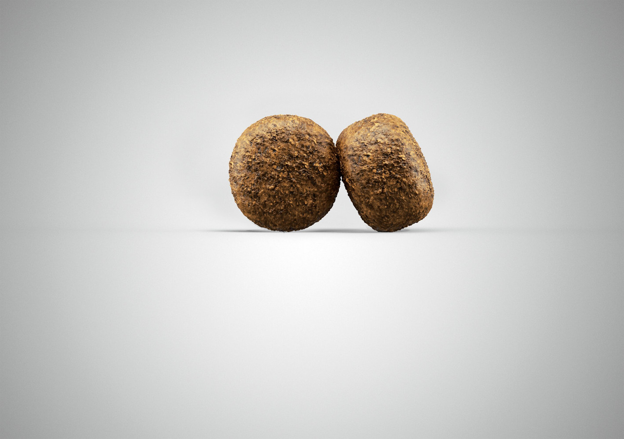 Josera Optiness Hundefutter, erw. Hunde, Lamm, normaler Energiebedarf, 2 braune Kroketten, rau, auf grauem Hintergrund.