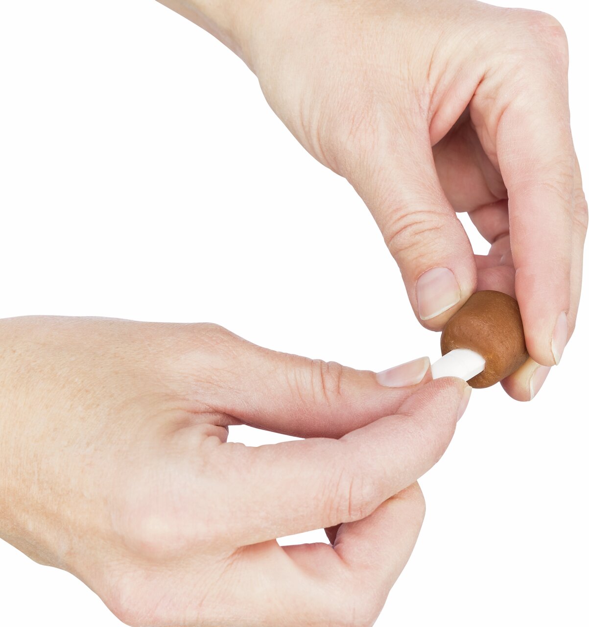 Hände formen ein Leckerli um eine Tablette. Produkt: TRIXIE Premio Pillenfüllhilfe, für Hunde, mit Geflügelgeschmack, 40 g.