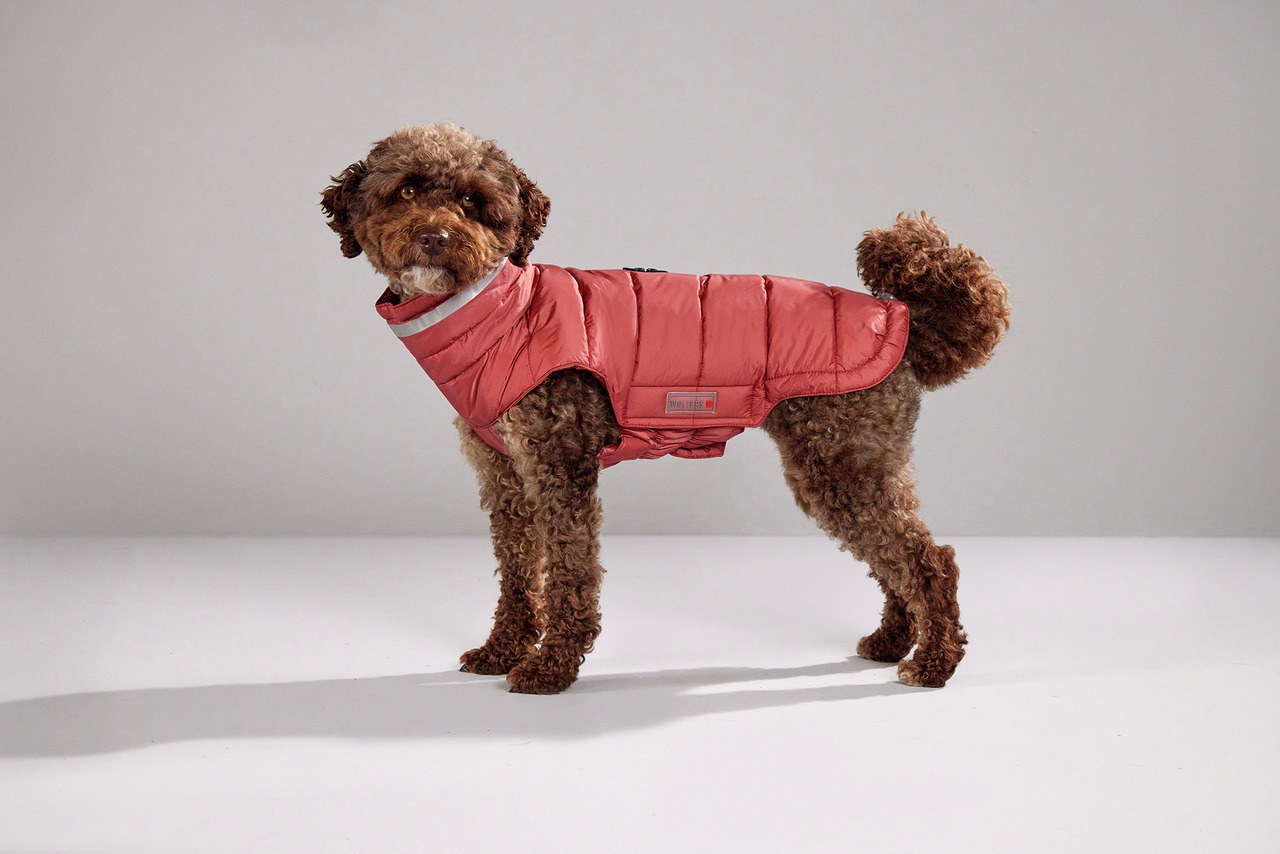 Wolters Steppjacke Cosy 60 cm rost rot