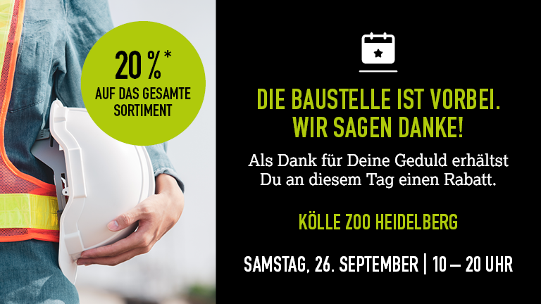 260926 Endebaustelle Heidelberg Mobile 768x432px