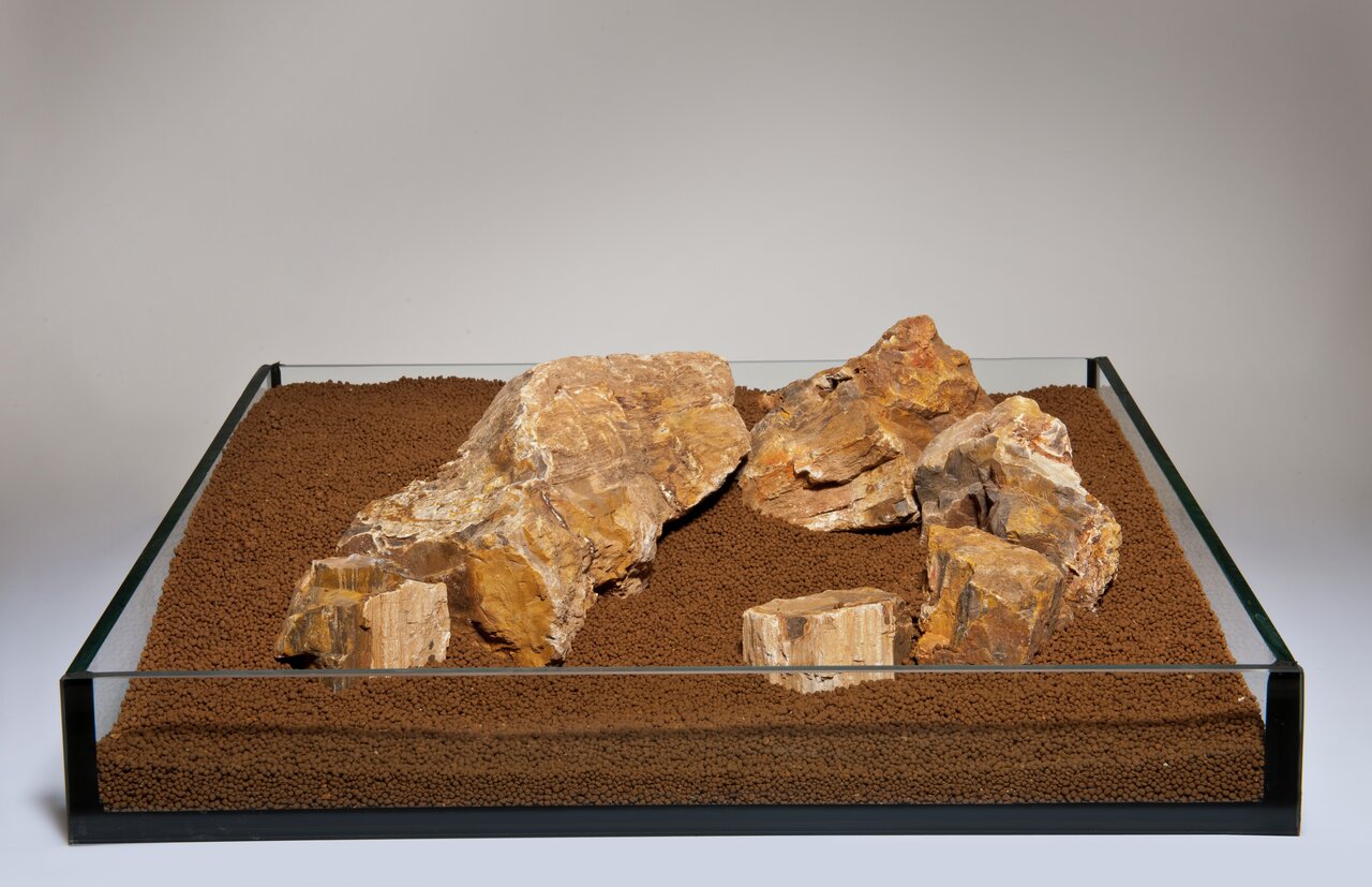 Das Bild zeigt eine Aquarienlandschaft mit dem Produkt „Aquadeco Versteinertes Holz“, das für die Gestaltung von Aquarien geeignet ist. Die Zielgruppe sind Aquaristik-Enthusiasten. Zu sehen sind mehrere Stücke versteinerten Holzes, die auf einem braunen B