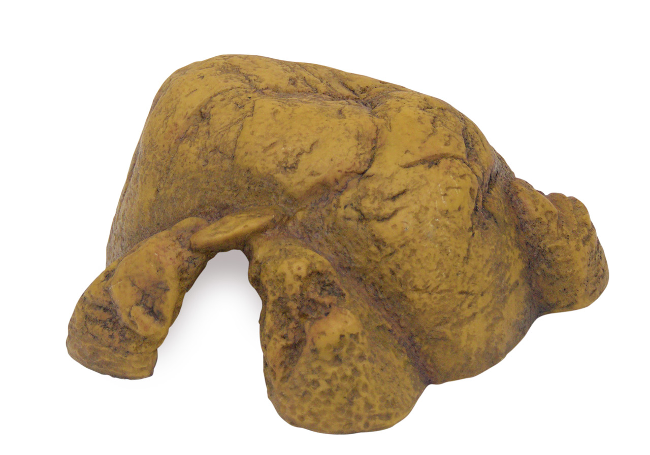 Exo Terra Reptilienversteck, Felsenoptik, für Reptilien/Amphibien, sicherer Rückzugsort, erdig-gelbe Steinstruktur.