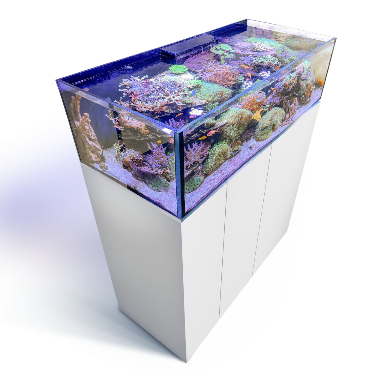 AQUA MEDIC Meerwasseraquarium, ideal für Aquaristik-Fans, mit Korallen & Fischen, auf weißem Unterschrank, hochwertig & funktional.