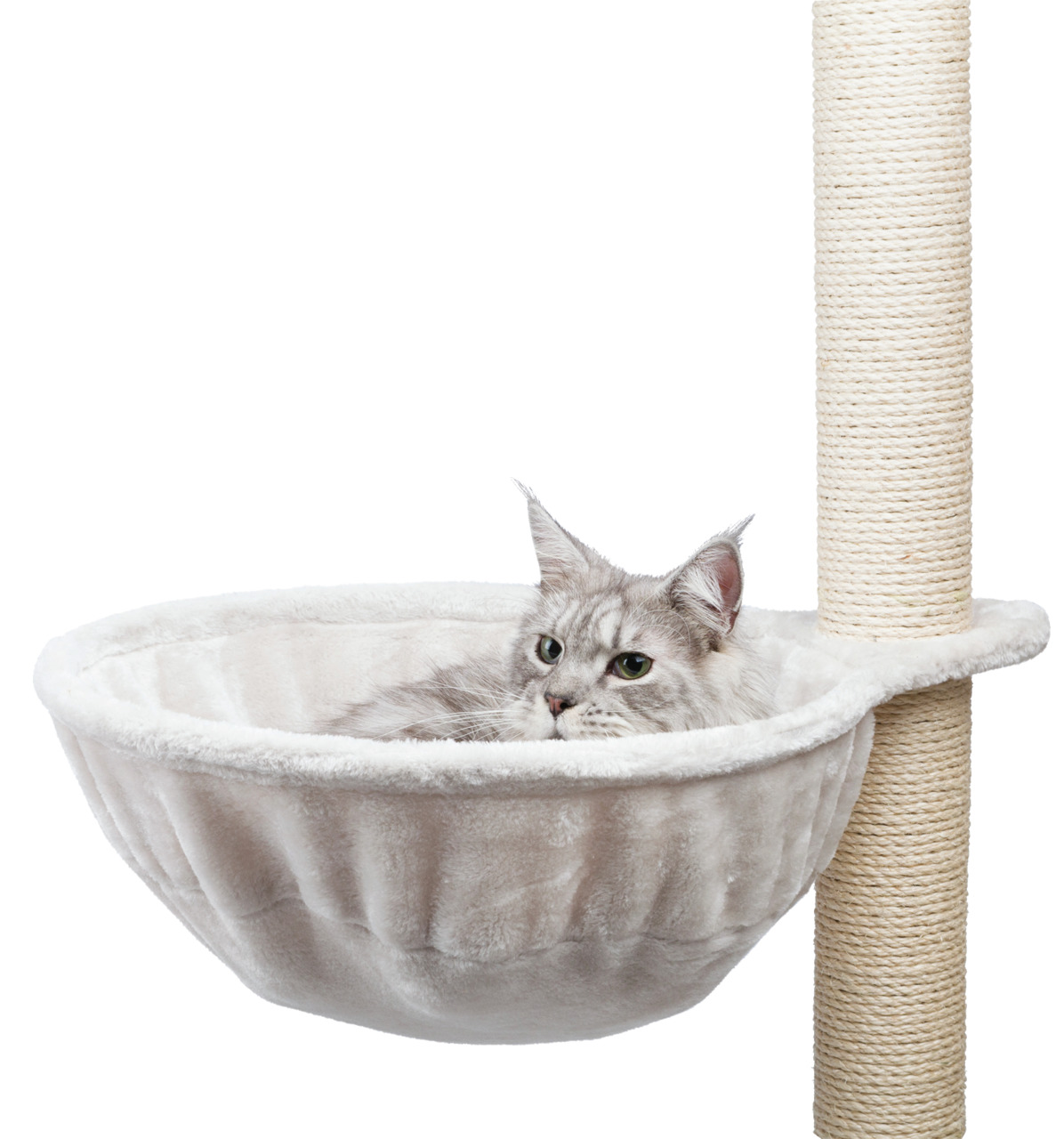 Das Bild zeigt eine graue Katze, die entspannt in einer weichen, cremefarbenen Hängemulde des TRIXIE Kratzbaums liegt. Die Hängemulde ist an einem stabilen, mit Sisal umwickelten Kratzstamm befestigt. Dieses Produkt richtet sich an Katzenbesitzer, die ihr