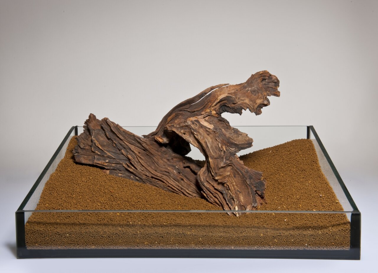 Dekoratives Wurzelholz von AquaDeco für Aquarien, perfekt für eine natürliche Gestaltung, präsentiert in einem Glasbehälter mit Bodengrund.