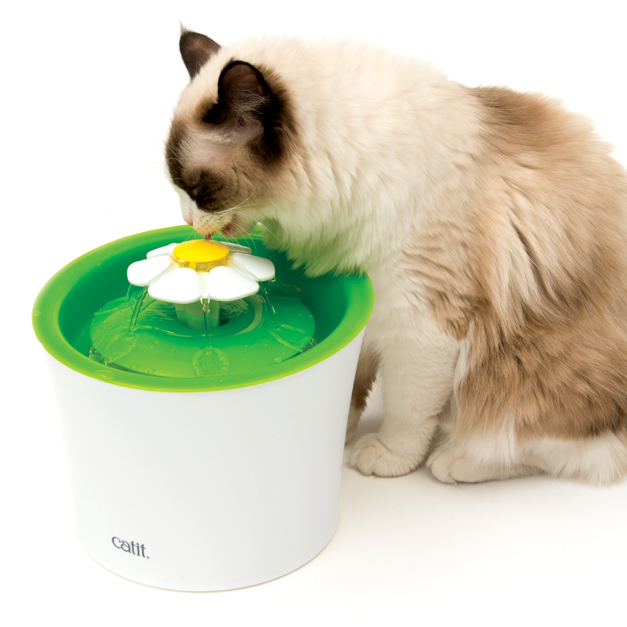 Catit Blumentrinkbrunnen, für Katzen, fördert Flüssigkeitsaufnahme, weiß-grün mit gelb-weißer Blume, sprudelndes Wasser.