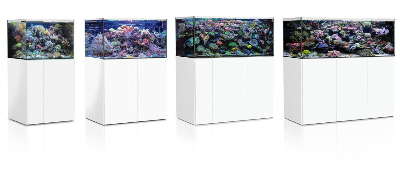 AQUA MEDIC Armatus 575 XD Meerwasser-Aquarium mit Unterschrankfiltersystem weiß