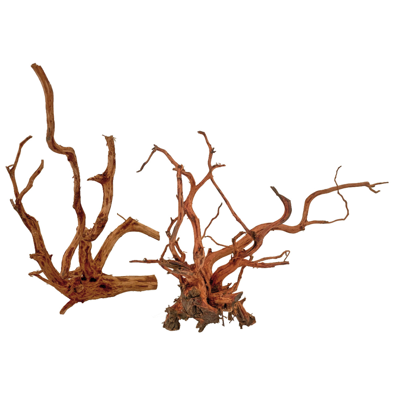 Amtra Mangrovenwurzeln, 2 Stk., für Aquarien/Terrarien, naturbelassen, Versteckmglk. für Fische/Reptilien, ohne chem. Zusätze.