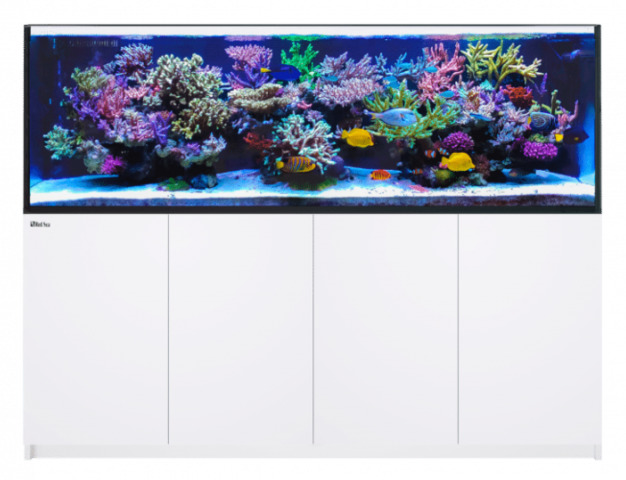 Red Sea REEFER 900 G2+ System Weiß Aquarium mit Unterschrank