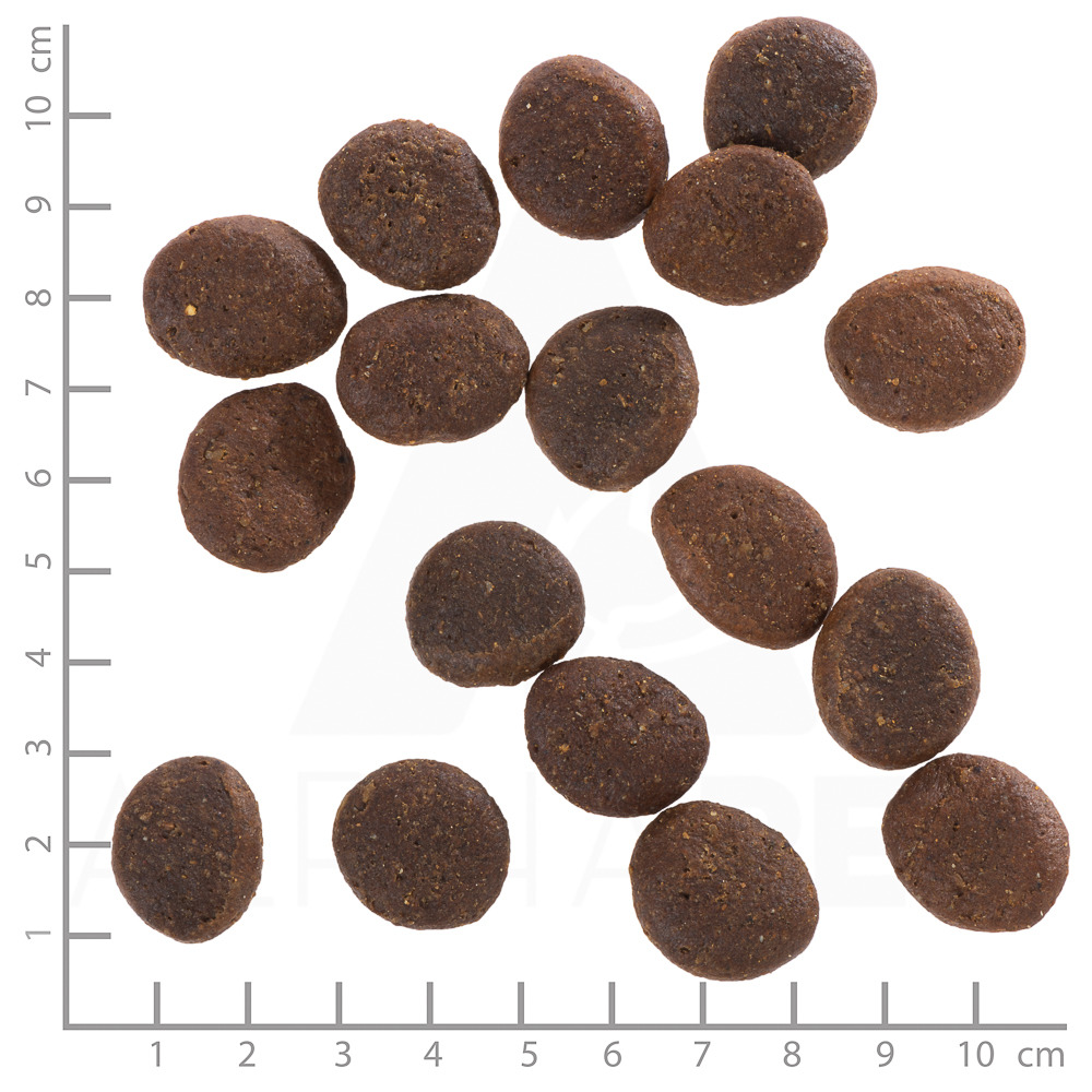 Wolfsblut Wide Plain Adult Trockenfutter für ausgewachsene Hunde, Pferdefleisch, runde Kroketten (ca. 1,5 cm), Menge nicht erkennbar.