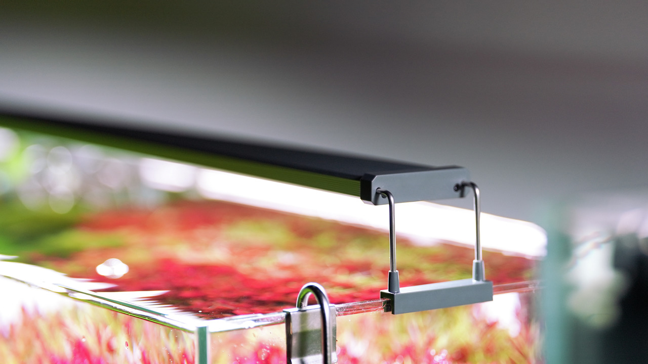 Auf dem Bild ist die Chihiros LED-Aquarienleuchte zu sehen, die speziell für Aquarien entwickelt wurde. Die schlanke, schwarze Leuchte ist auf einem Glasbecken montiert, das mit Wasserpflanzen gefüllt ist. Sie bietet eine gleichmäßige Beleuchtung und förd