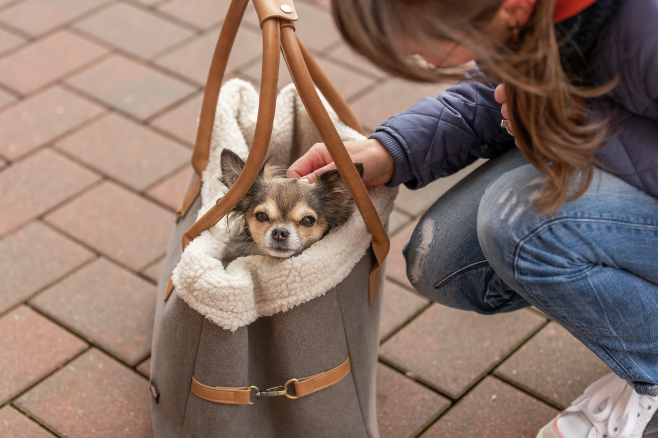 Das Bild zeigt eine TRIXIE Hundetasche, die speziell für kleine Hunde wie Chihuahuas entwickelt wurde. Die Tasche ist grau mit braunen Ledergriffen und einem weichen, cremefarbenen Innenfutter aus Plüsch. Ein kleiner Hund sitzt bequem darin, während eine 