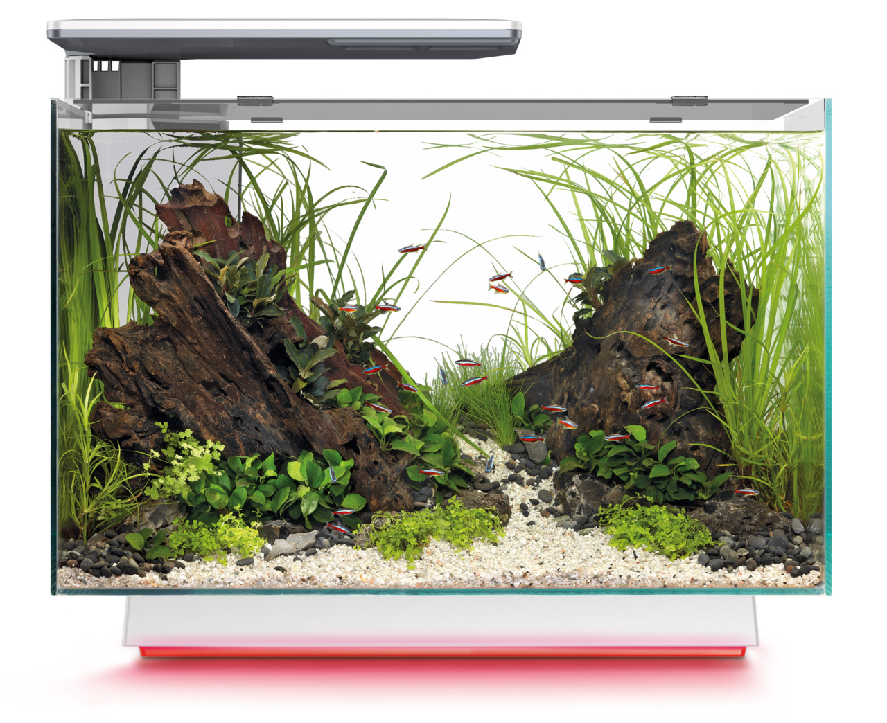 Superfish Home 25 Nano-Aquarium, LED-Beleuchtung, für Aquaristik-Fans, fördert Pflanzenwachstum & Farben, mit Deko & Zierfischen.