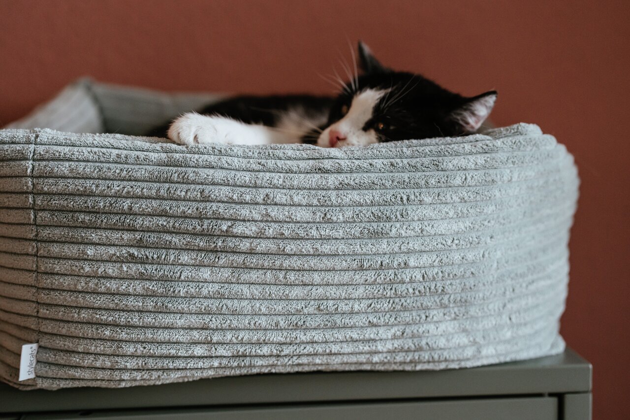 Stylecats Katzenbett, hellgrau, gerippt, weich gepolstert, für alle Katzenrassen, modernes Design, optimaler Komfort.