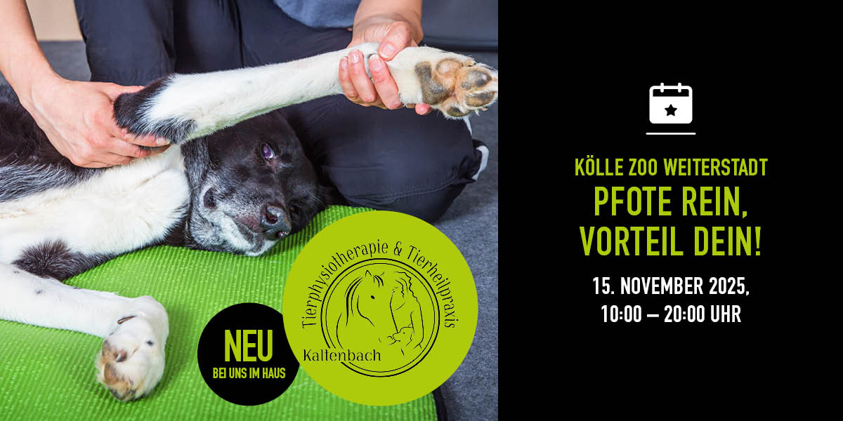 Web 151125 Einzugsevent Tierheilpraxis Weiterstadt Nl