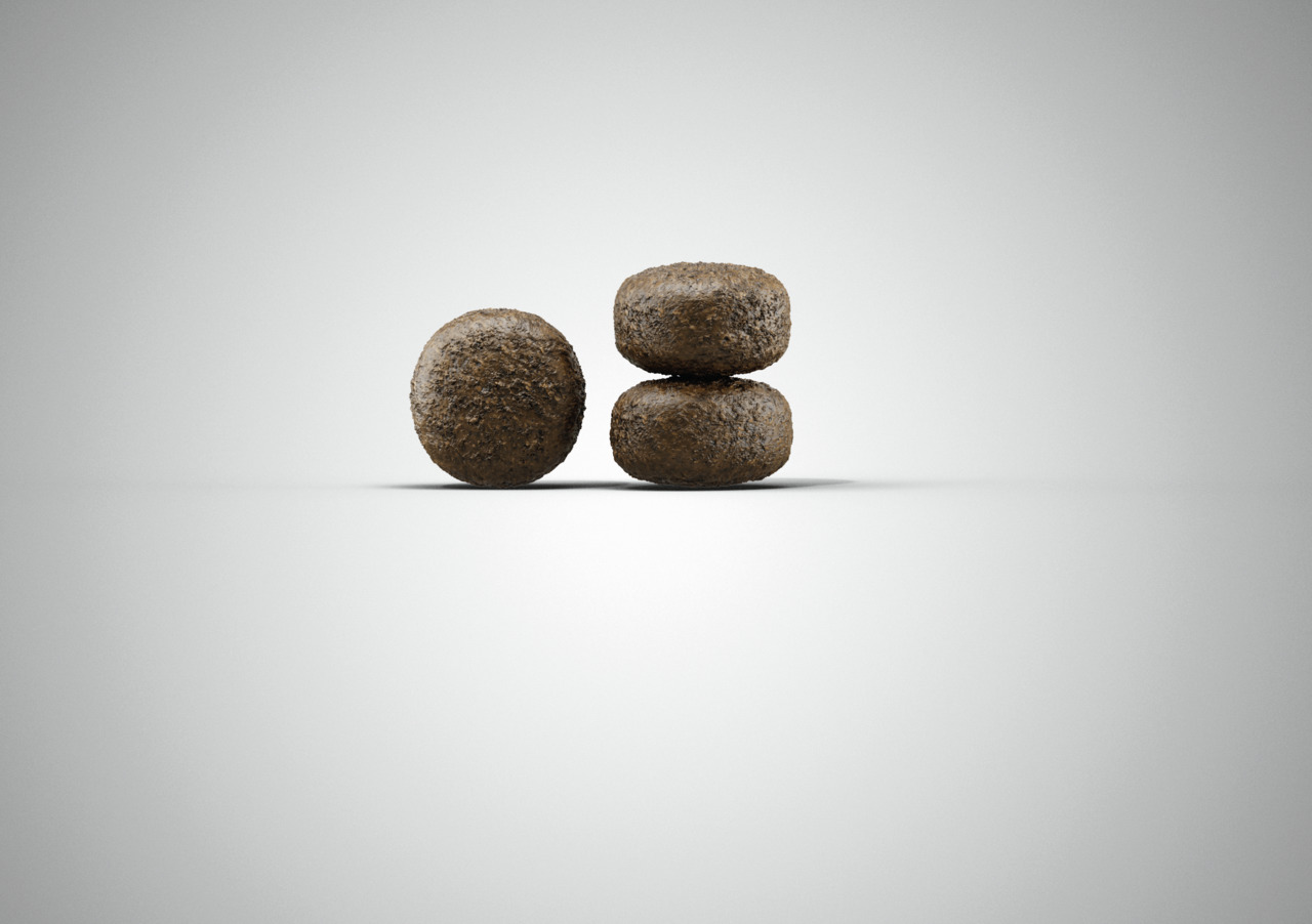 Das Bild zeigt drei runde Kroketten des Hundefutters „Josera SensiPlus“, speziell entwickelt für ausgewachsene Hunde mit empfindlichem Verdauungssystem. Die Kroketten sind braun und gleichmäßig geformt. Das Produkt enthält Ente als Geschmacksrichtung und 