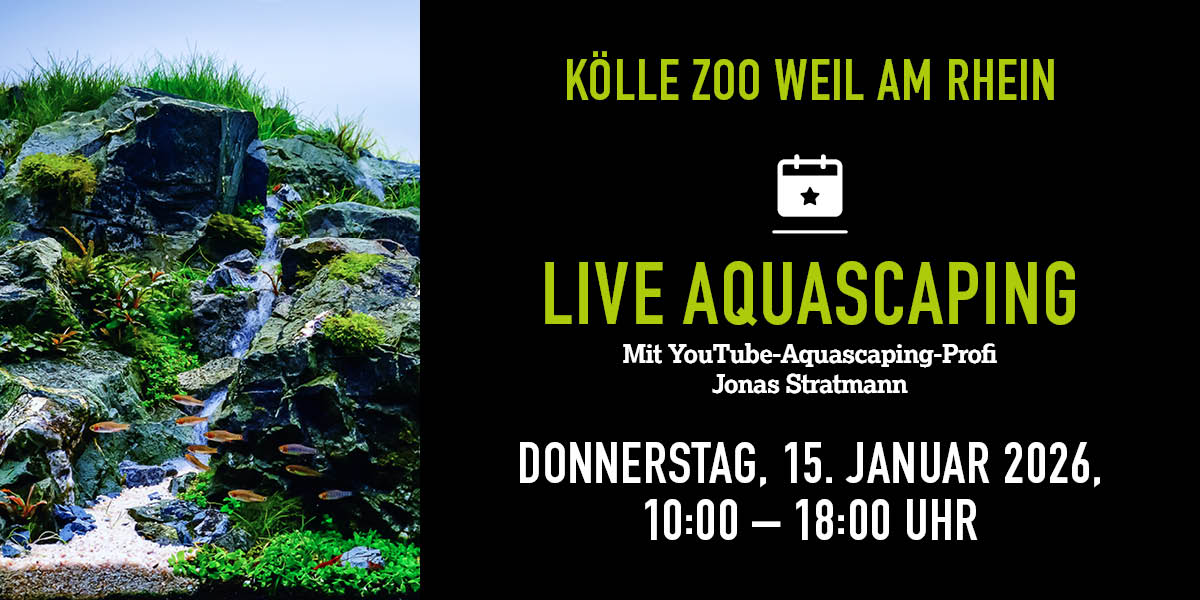 Aquariumlandschaft mit Fischen und Infos zum Event im KÖLLE ZOO  Weil am Rhein