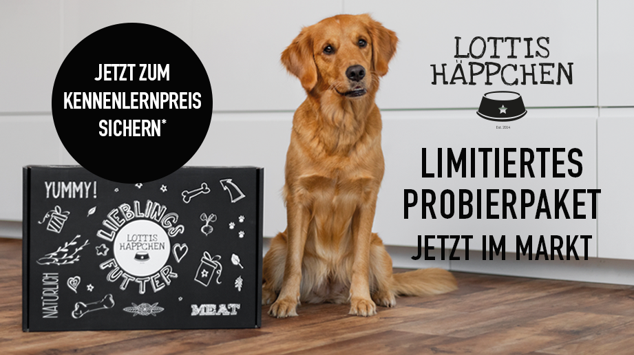 Neue LOTTIS HÄPPCHEN Probierbox, Golden Retriever sitzt neben der Box