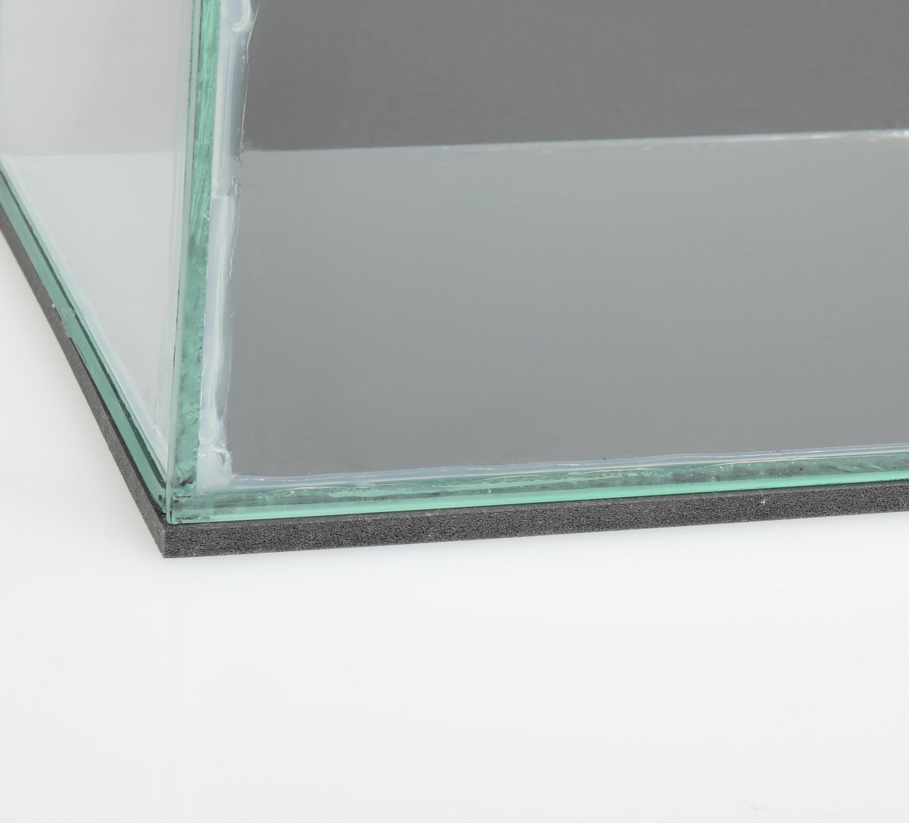 JBL ProScape Glasgarten, für Aquaristik-Enthusiasten, hochwertige Verarbeitung, langlebig, mit stabiler schwarzer Unterlage.