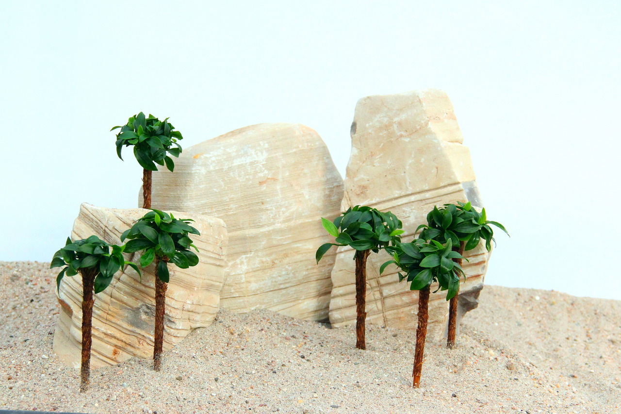 Dekoration für Aquarien-Terrarien: 6 künstl. Mini-Palmen (grüne Blätter, braune Stämme) im Sand, mit naturgetreuen Felsen, trop. Flair.