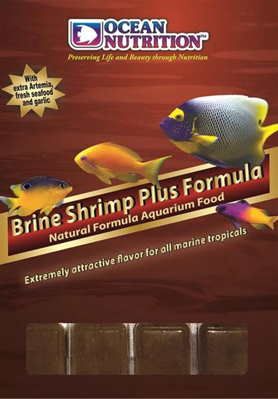 Ocean Nutrition Brine Shrimp Plus Formula, Futter f. trop. Meeresfische, mit Artemia, Meeresfrüchten & Knoblauch, 4 gefr. Futterwürfel.