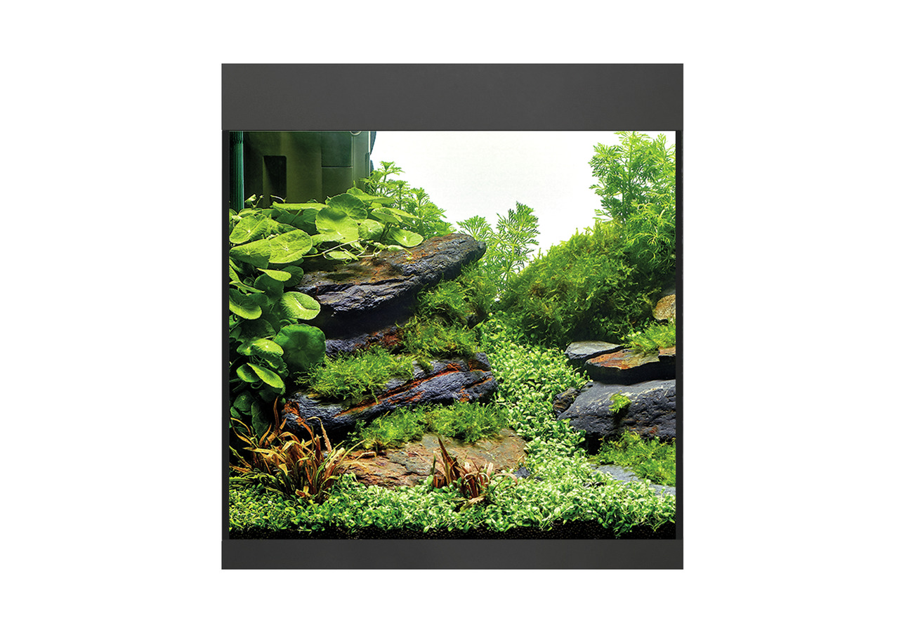 Oase HighLine Cube 60 Nano-Aquarium, 60L, für Süßwasserfische & Pflanzen, modernes Design, ideal für kleine Fischarten-Garnelen.