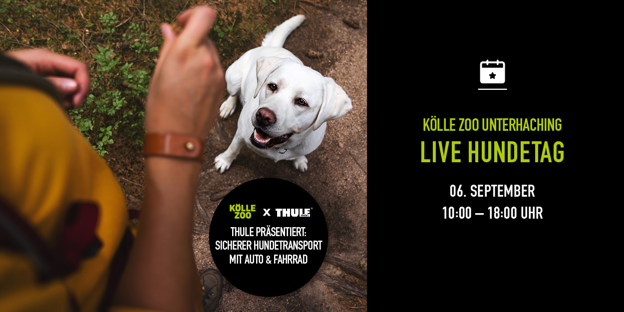 Kw35 3008 Hundetagunterhaching Nl