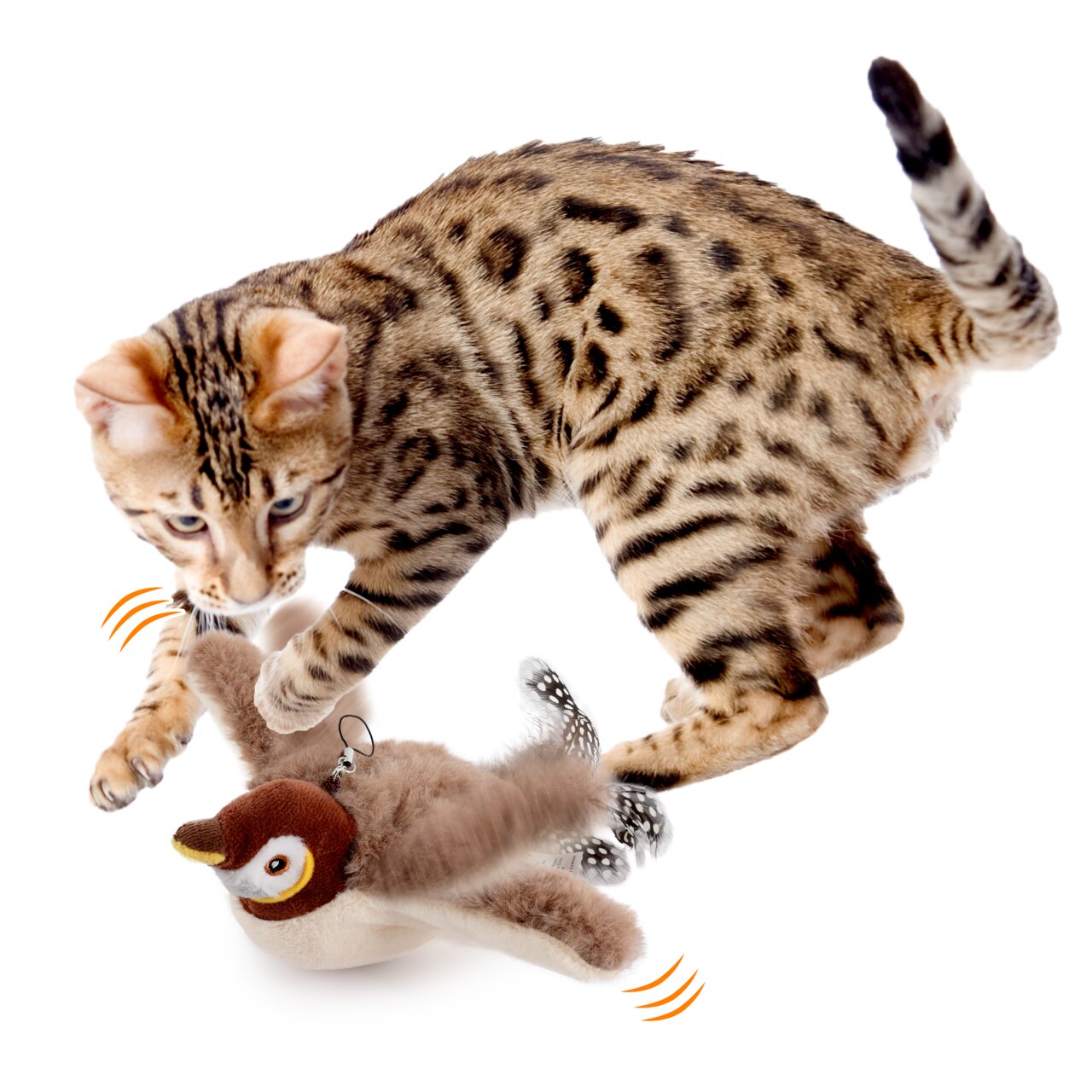 all for paws Katzenspielzeug mit Vogel für Katzen, braun-beiges Plüschspielzeug mit Federn, ideal zum Jagen und Spielen.