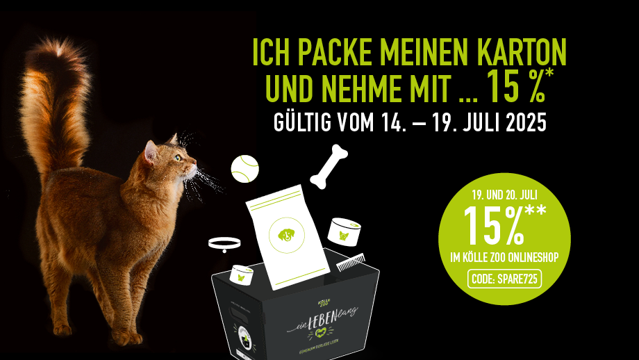 920x518 Ichpackemeinenkarton 2025