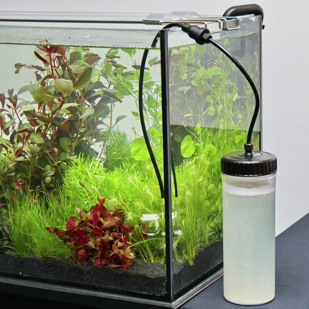 JBL ProFlora CO2 Basic Bio Set Aquarienzubehör