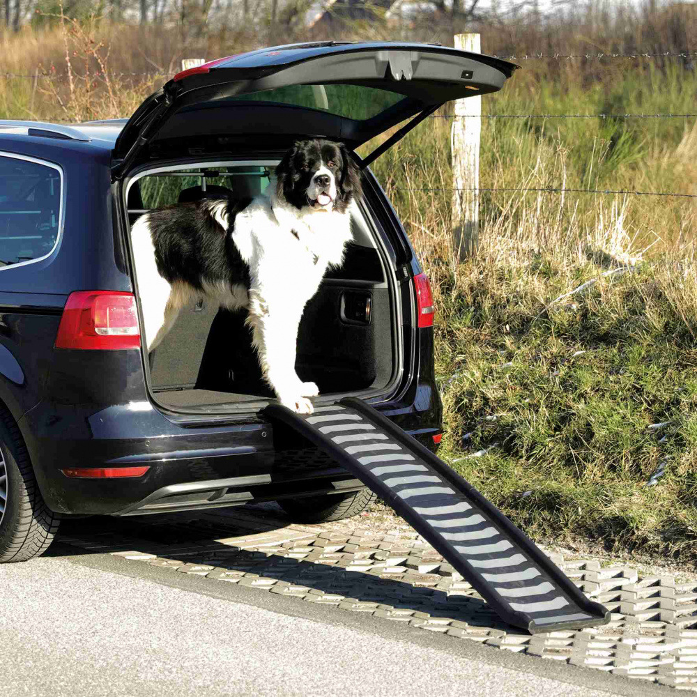 Das Bild zeigt eine schwarze TRIXIE Hunderampe, die an den Kofferraum eines Autos angelegt ist. Ein großer schwarz-weißer Hund steht im geöffneten Kofferraum und blickt nach vorne. Die Rampe erleichtert Hunden den Ein- und Ausstieg, besonders für ältere o