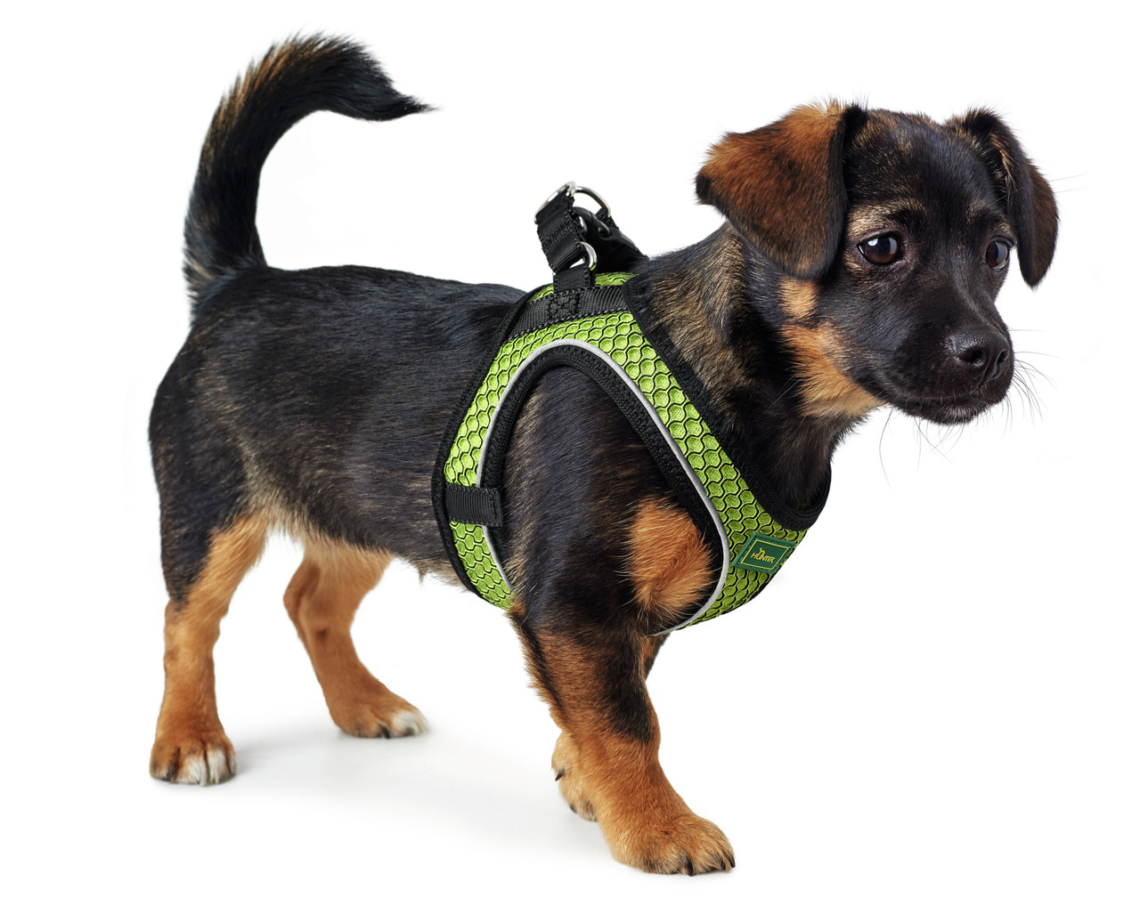 HUNTER Hundegeschirr Hilo Comfort, für Hunde, atmungsaktives Material, weiche Polsterung, hoher Komfort, grün, ideal für Spaziergänge.