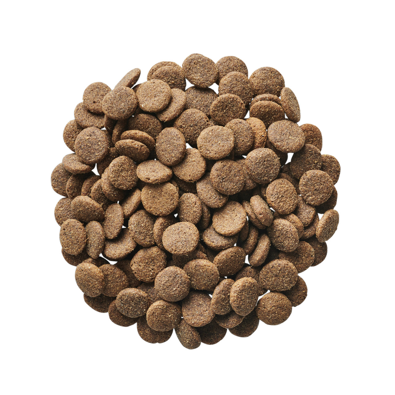 4251127228600 12 F62a6c959e25d377