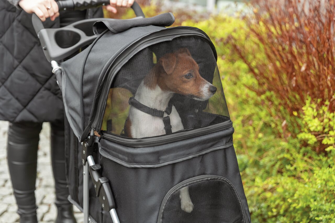 Hund im TRIXIE-Hundebuggy mit Netzabdeckung. Geeignet für Hunde, schwarz, ideal für Spaziergänge, komfortabel und sicher.