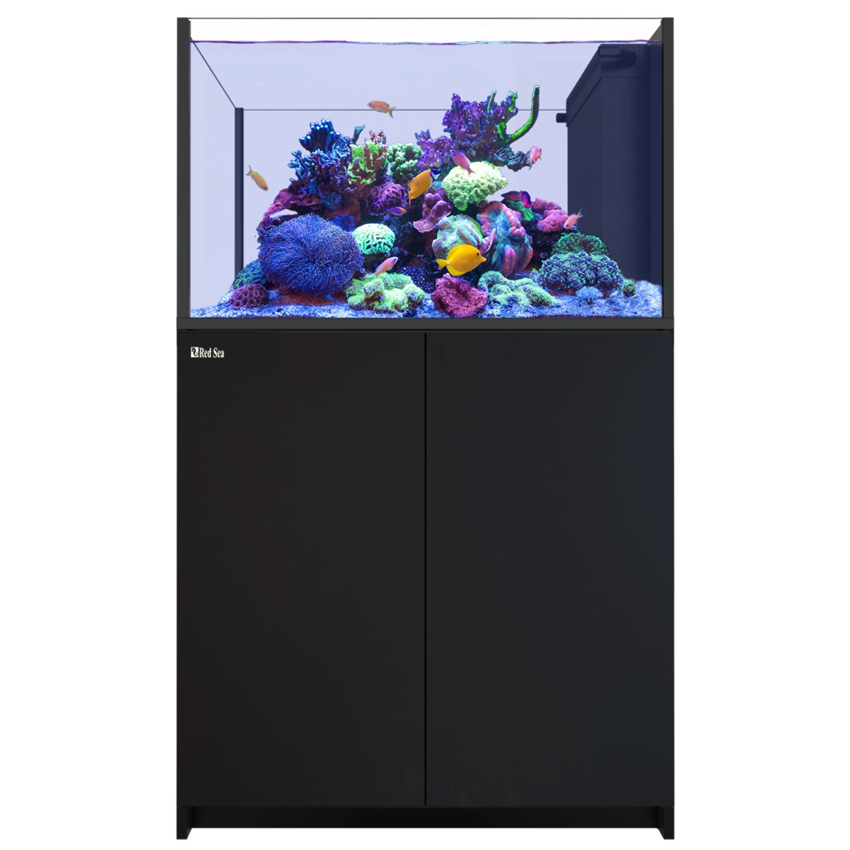 Das Bild zeigt das Red Sea Reefer 350, ein hochwertiges Aquarium für Meerwasserliebhaber. Es verfügt über ein modernes, schwarzes Unterschrankdesign und ein geräumiges Becken, das mit lebhaften Korallen und bunten Fischen gefüllt ist. Ideal für erfahrene 