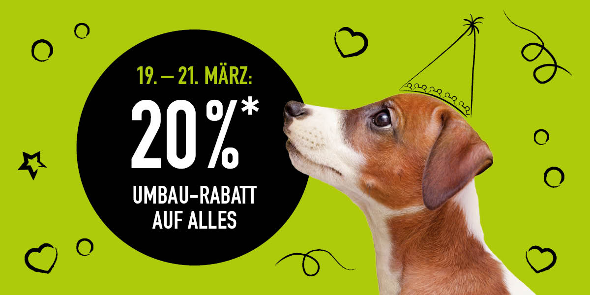 Grüner Hintergrund mit Hund mit Partyhut und schwarze Bubble mit Rabatt