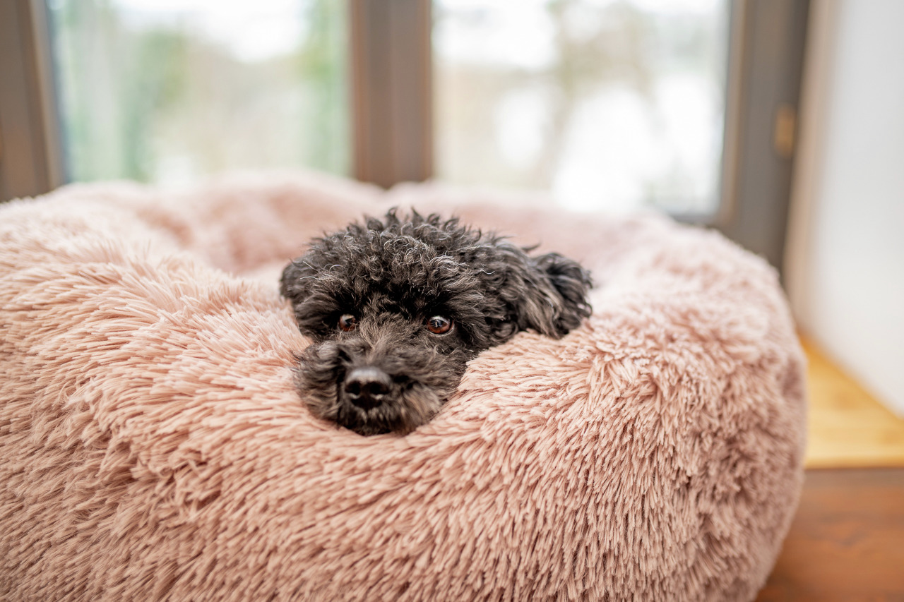 Allpets Hundebett, rosa, für kleine Hunde, max. Komfort, gemütlich.