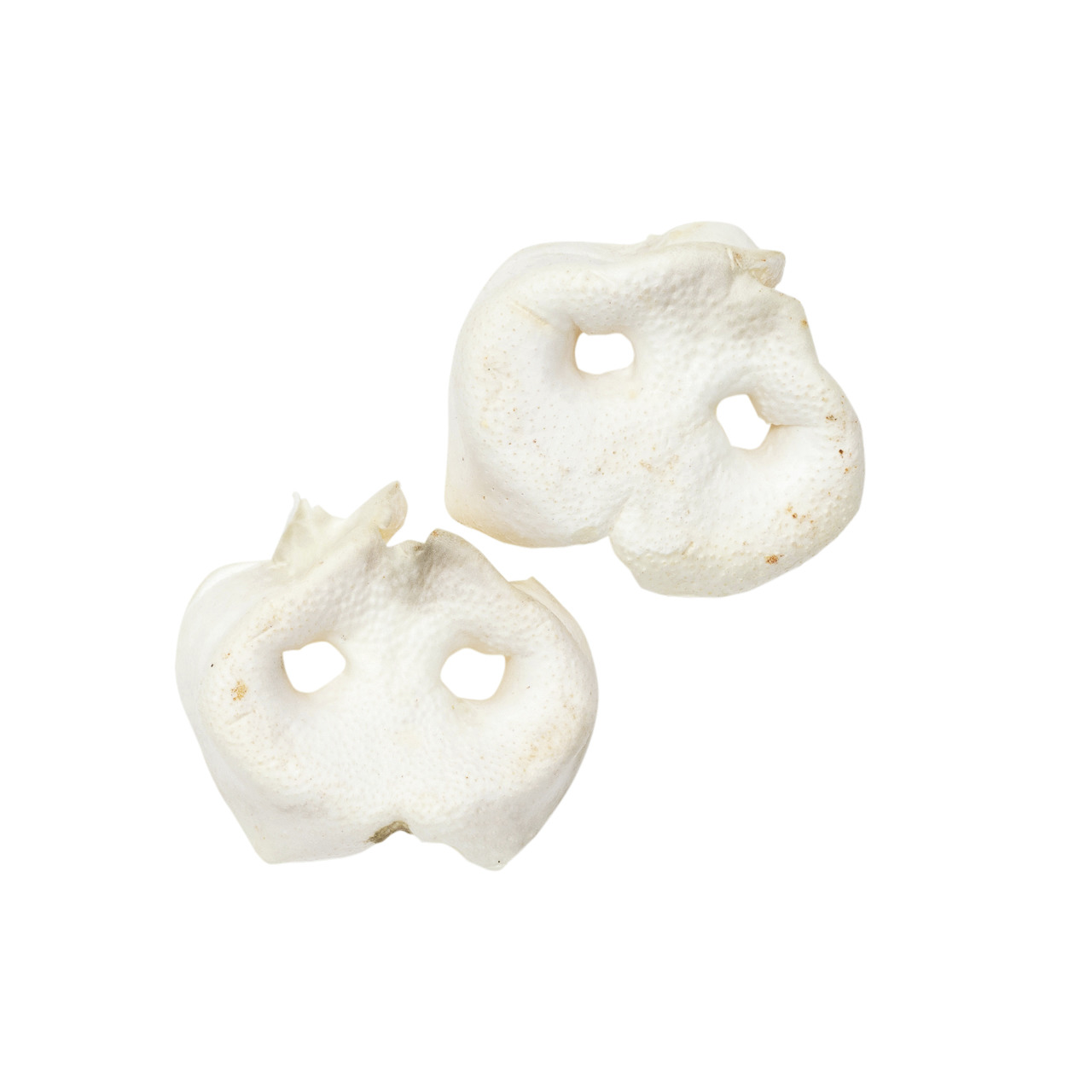Zwei weiße, getrocknete Rinderkopfhautstücke der Marke Lottis Häppchen, geeignet als Kausnack für Hunde. Die hypoallergenen Snacks sind naturbelassen, ohne Zusatzstoffe und fördern die Zahnpflege. Ideal für mittelgroße bis große Hunde. EAN: 4251127245126.