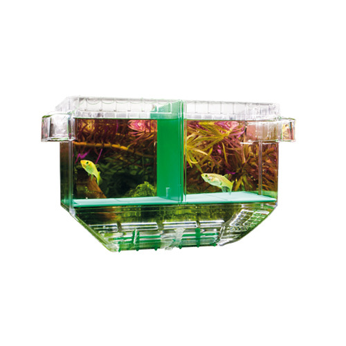 Das Bild zeigt den HOBBY Ablaichkasten für Aquarien, ein transparentes Kunststoffbehältnis mit grünem Trenneinsatz. Es ist für Zierfische geeignet und dient der sicheren Aufzucht von Jungfischen oder der Separierung von kranken Fischen. Im Hintergrund sin