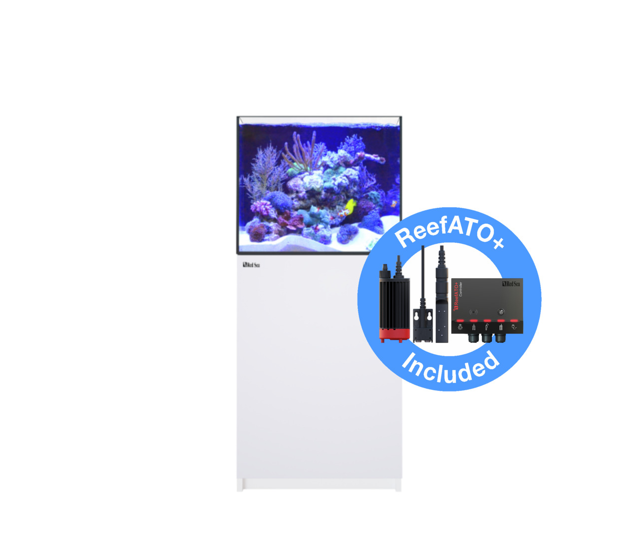 Das Bild zeigt das Red Sea Reefer 170 Aquarium, ein hochwertiges Meerwasseraquarium für Aquaristik-Enthusiasten. Es ist mit einem modernen weißen Unterschrank ausgestattet und enthält das ReefATO+ System zur automatischen Nachfüllung. Im Aquarium sind bun