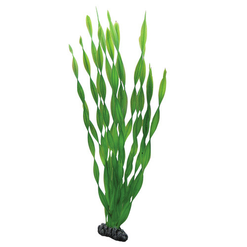 HOBBY Amazonas, künstl. Aquariumpflanze, grün, 30 cm, für Aquarienliebhaber, dekorativ, Versteckmöglichkeit für Fische.