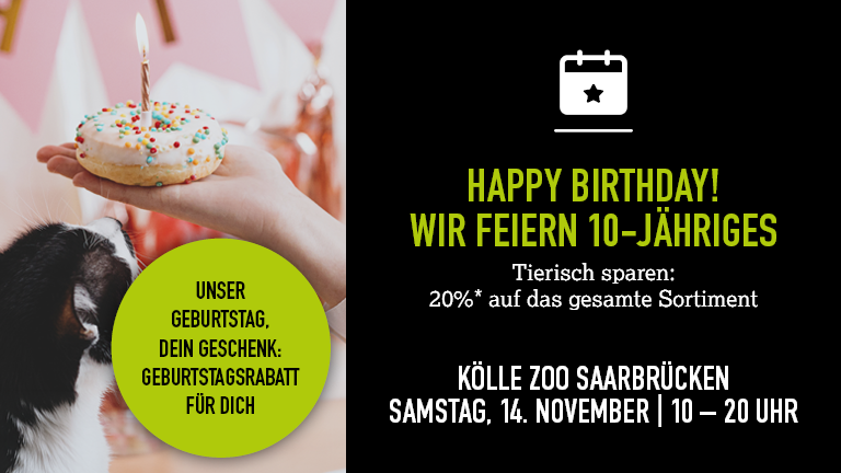 141126 Geburtstag Saarbrcken Mobile 768x432px