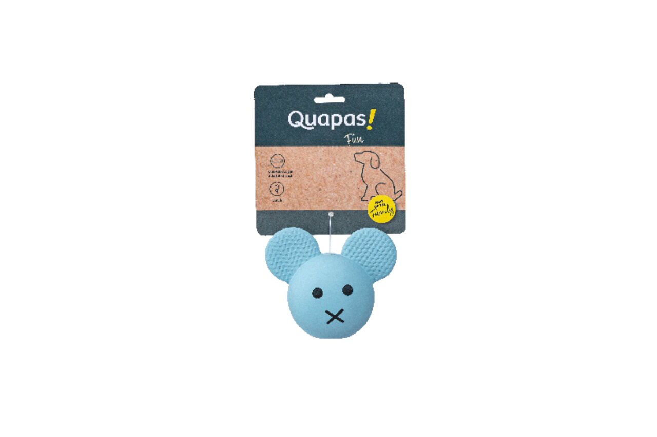 Quapas! Fun Maus