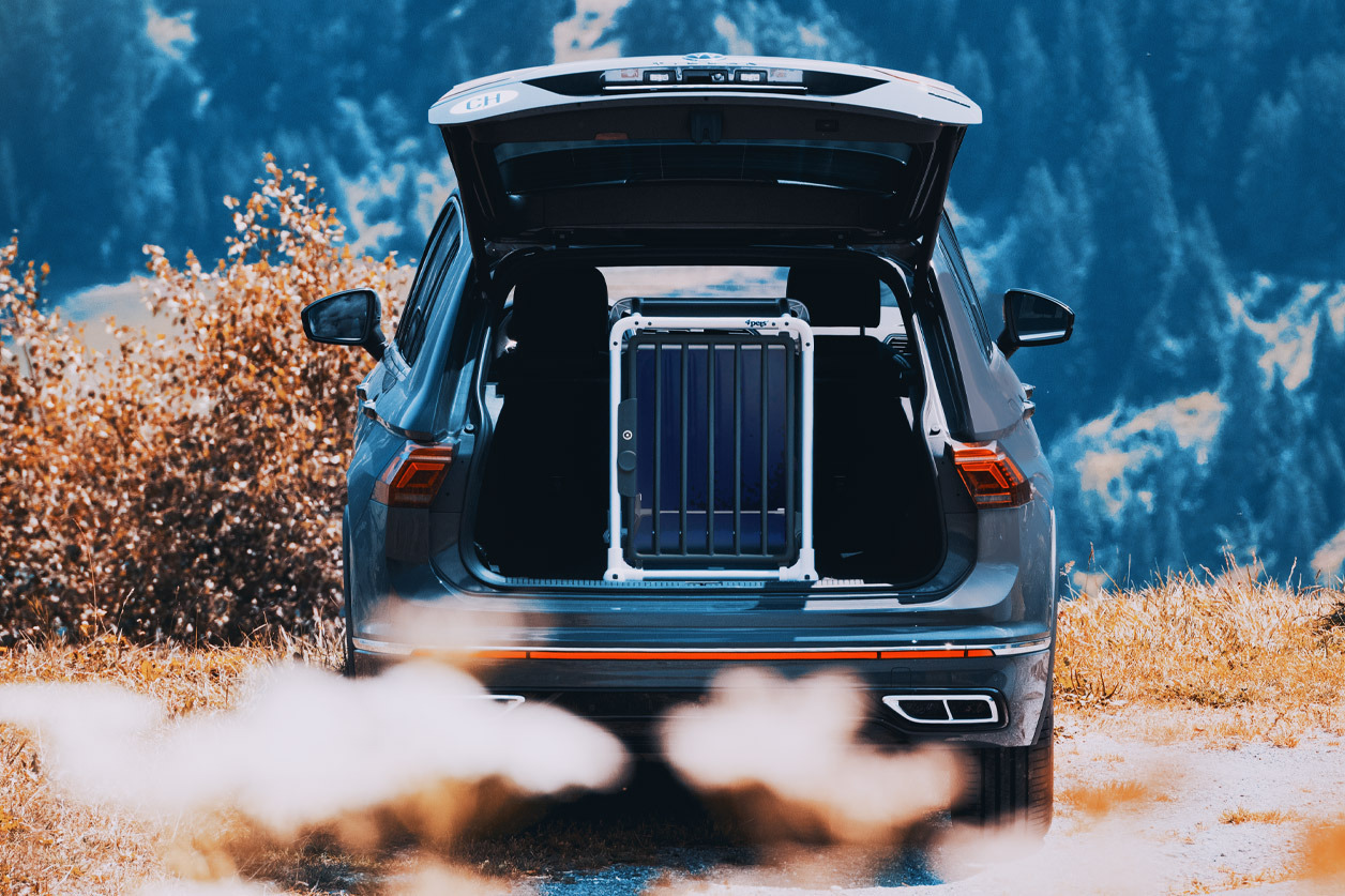 4pets Hundetransportbox, stabil & sicher, für Hunde im Auto, ideal für Hundebesitzer.