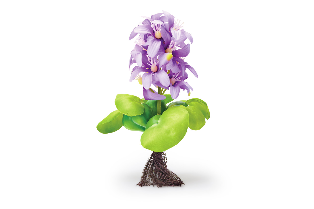 Oase Pontec PondoHyacinth Blooming