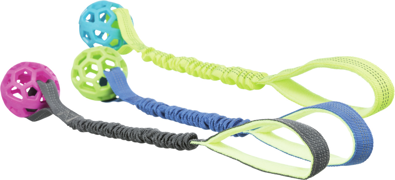 TRIXIE Hundespielzeug "Bungee Tugger", für alle Hunde, mit elast. Zugseilen & Gitterbällen (Pink, Grün, Blau), fördert Bindung & Spiel.