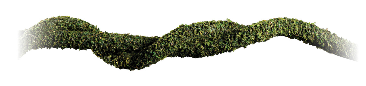 Exo Terra Flexible Moss Vine, biegsame Moosranke für Reptilien/Amphibien, grüne Oberfläche, naturnah, Länge: ca. 180 cm.