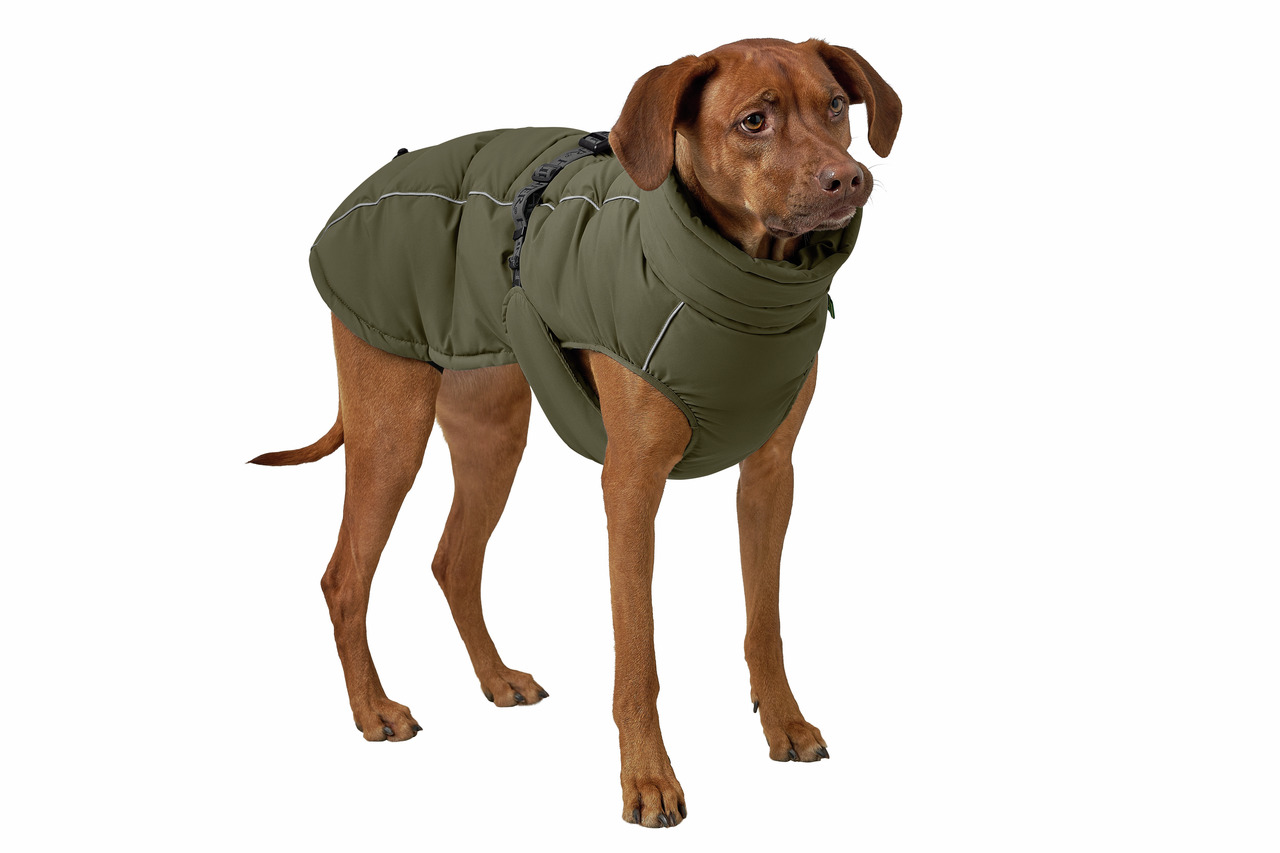 HUNTER Hundemantel Paxson 45 olive | Olive | 45 | 4099902077575